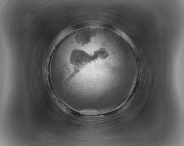 X0000085301435200703091422