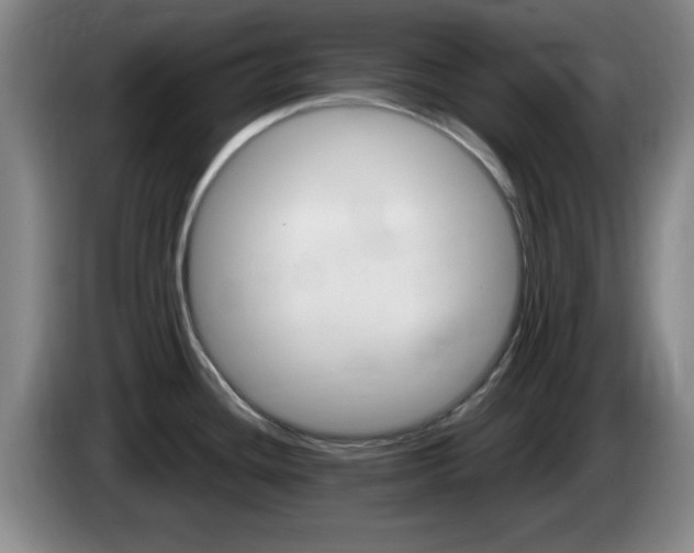 X0000085301436200703091422