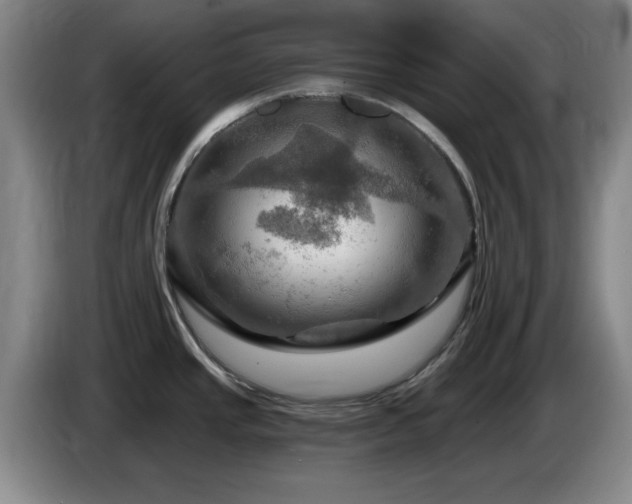 X0000085301437200703091422