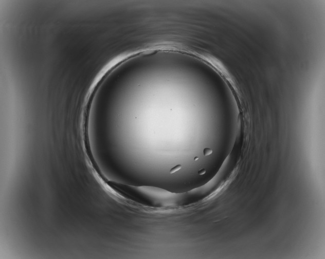 X0000085301438200703091422