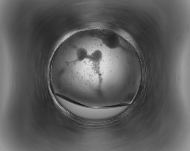 X0000085301439200703091422