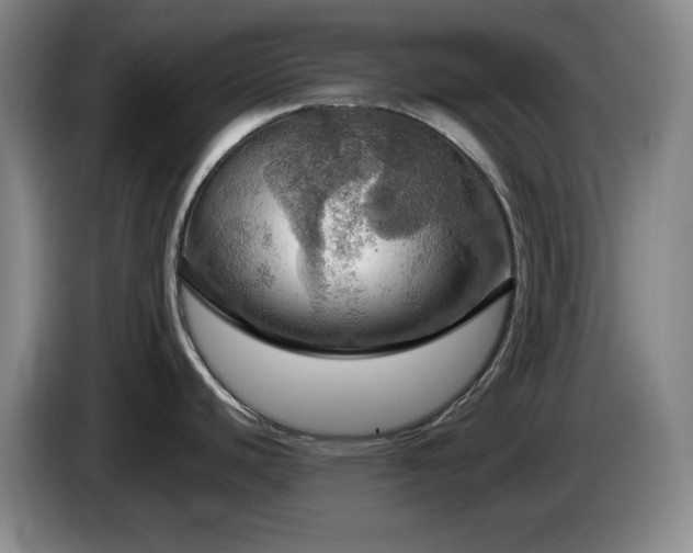 X0000085301440200703091422