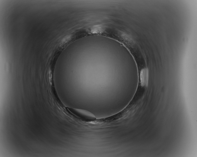 X0000085301443200703091421