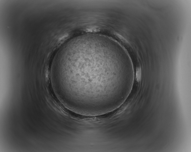 X0000085301444200703091421