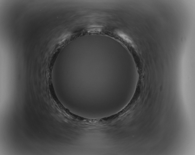 X0000085301445200703091421