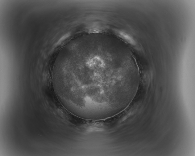 X0000085301446200703091421