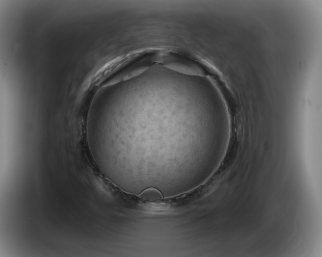 X0000085301448200703091421