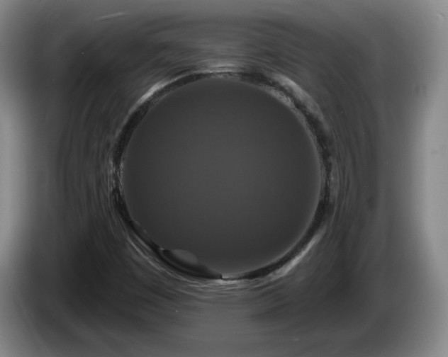 X0000085301449200703091421