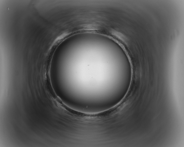 X0000085301451200703091421