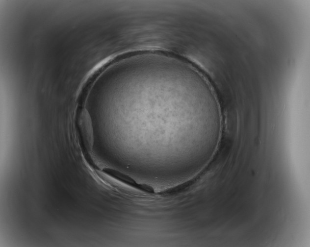 X0000085301452200703091421