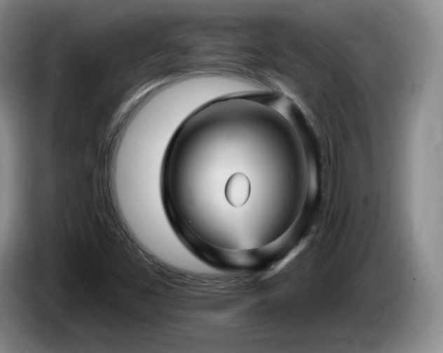 X0000085301453200703091421