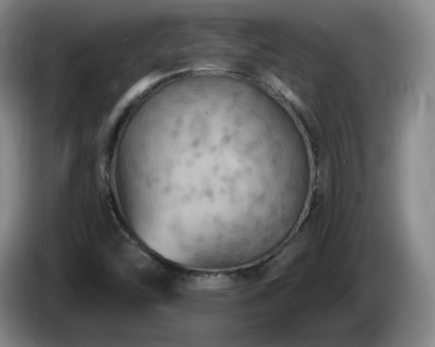 X0000085301454200703091421