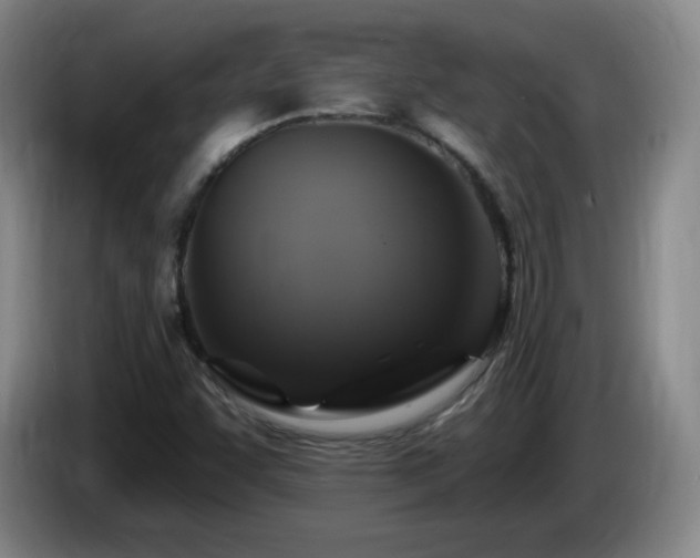 X0000085301455200703091421