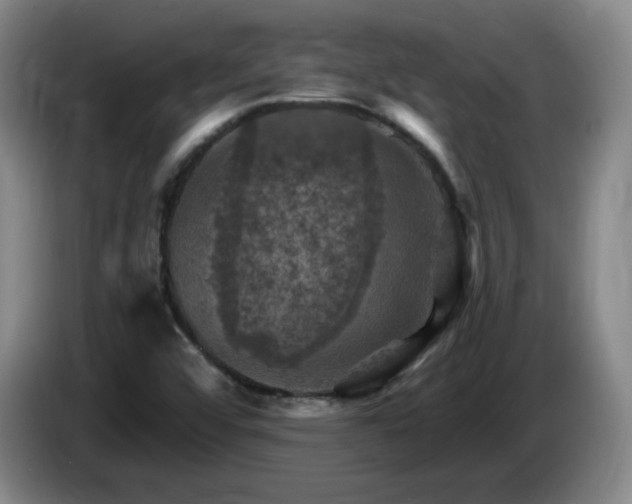 X0000085301456200703091421