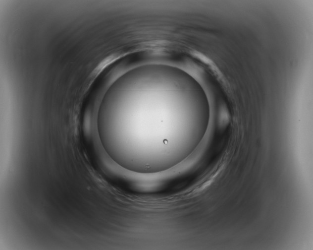 X0000085301457200703091421