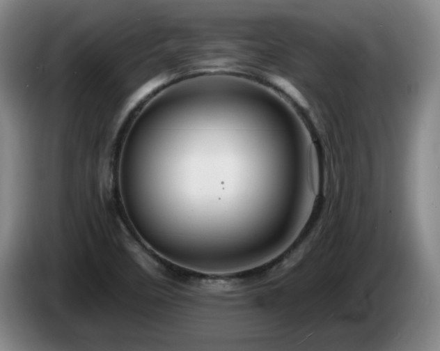 X0000085301458200703091421