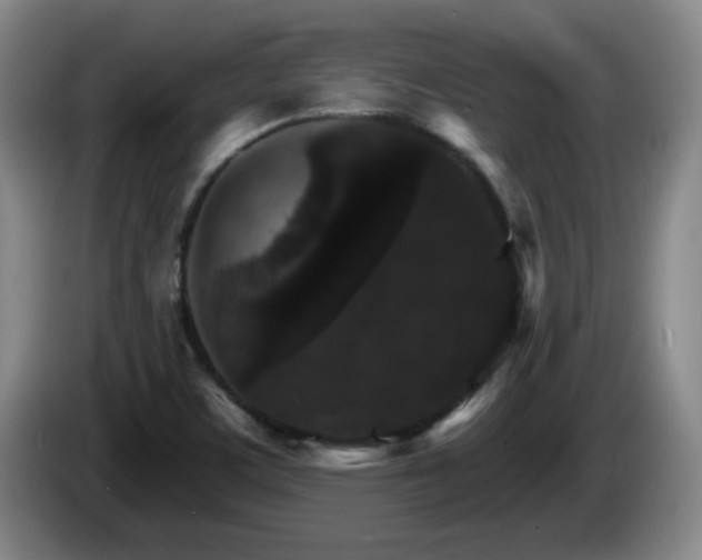 X0000085301459200703091421