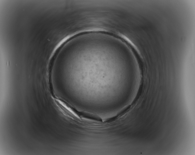 X0000085301460200703091421