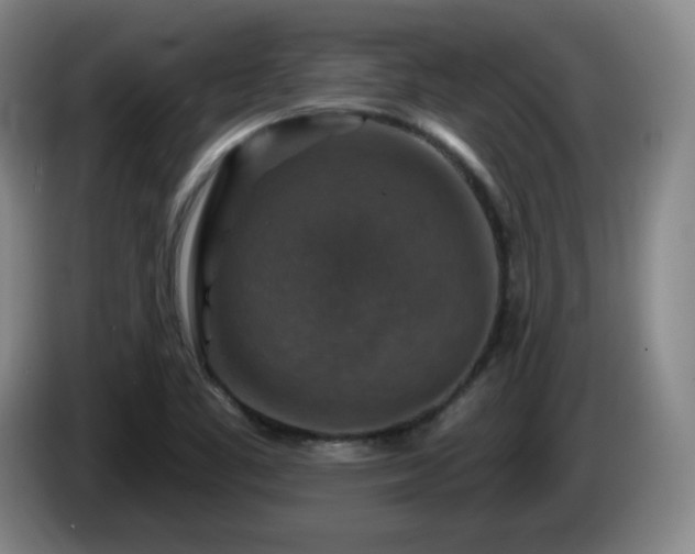 X0000085301461200703091421