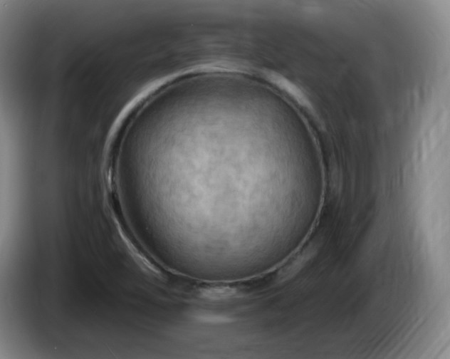 X0000085301462200703091421