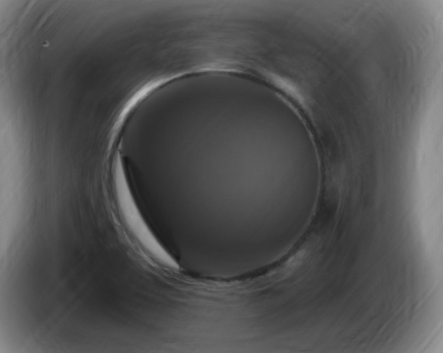 X0000085301463200703091421