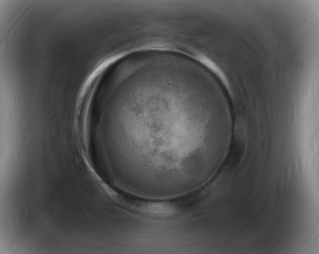 X0000085301464200703091421