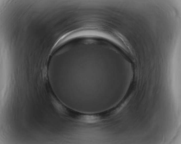 X0000085301465200703091421