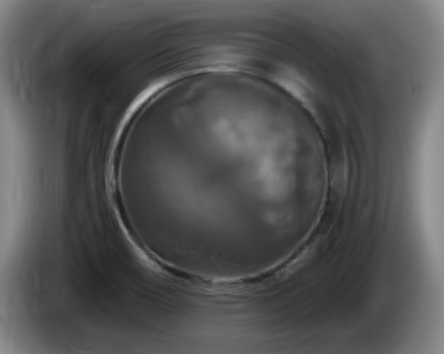 X0000085301466200703091421