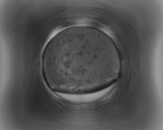 X0000085301467200703091421