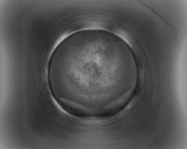 X0000085301468200703091421