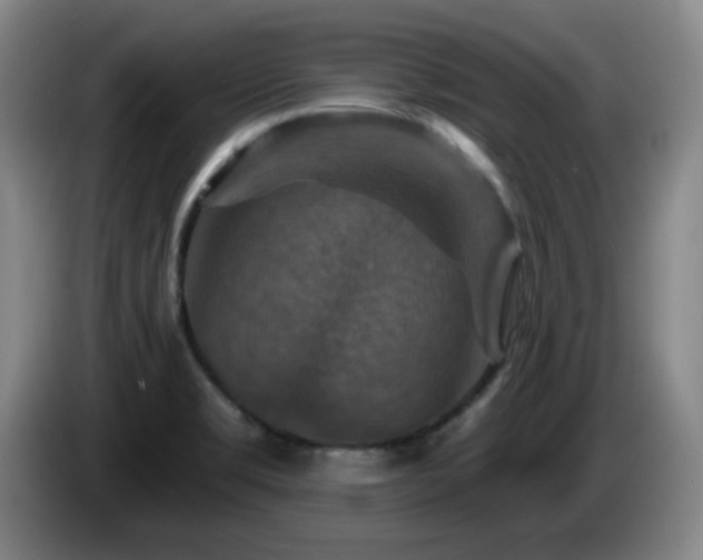 X0000085301469200703091421