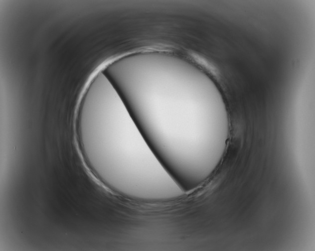 X0000085301471200703091421