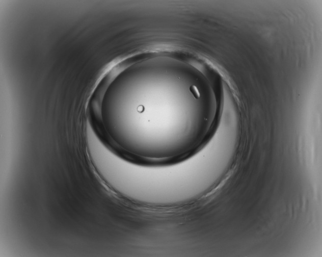 X0000085301473200703091421