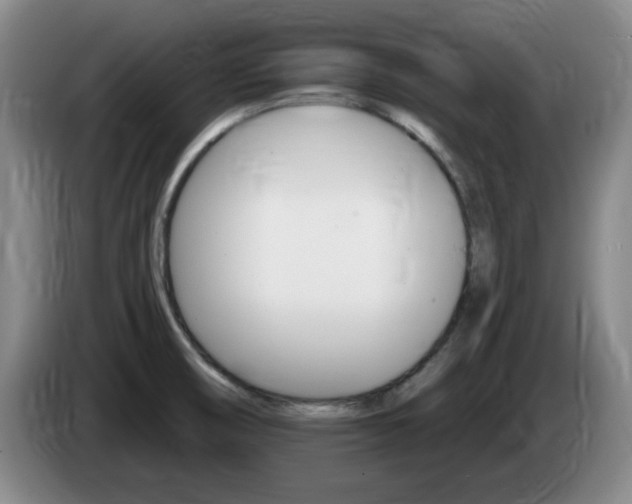 X0000085301474200703091421