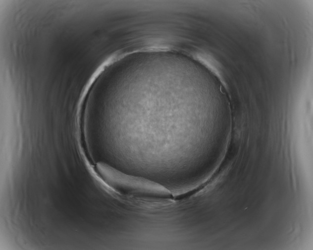 X0000085301475200703091421