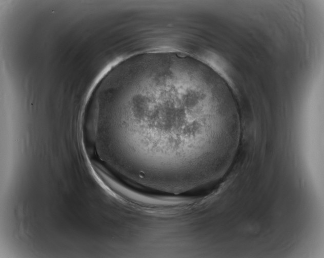 X0000085301476200703091421