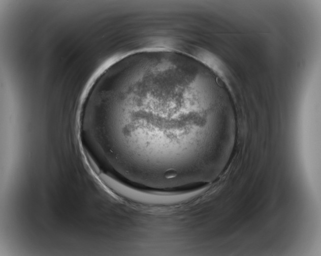 X0000085301480200703091421