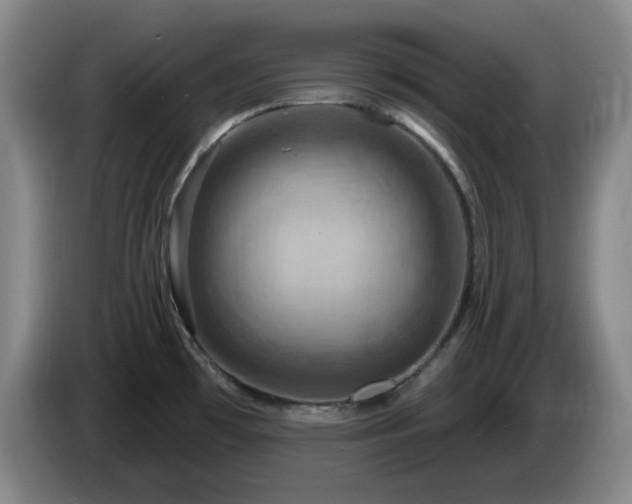 X0000085301481200703091421