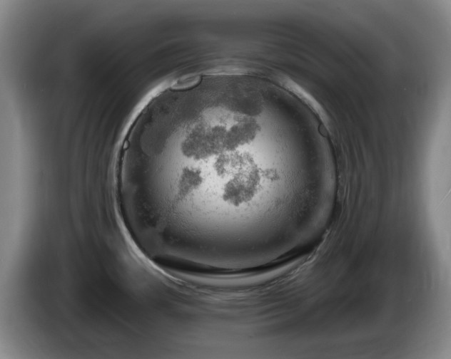 X0000085301483200703091421