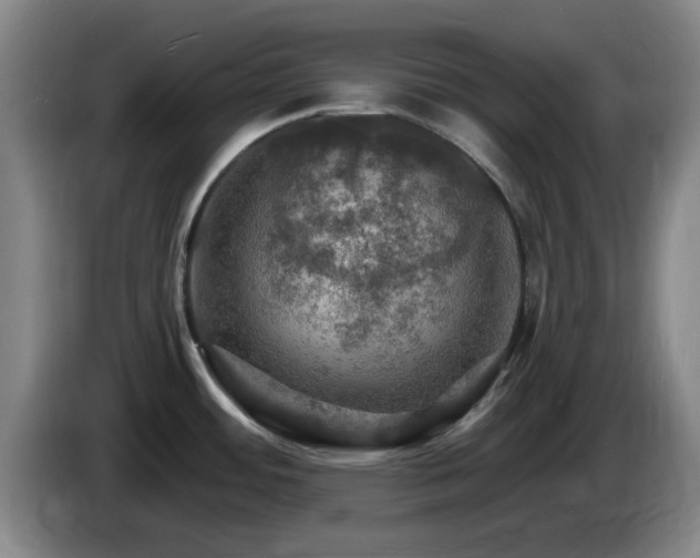 X0000085301484200703091421