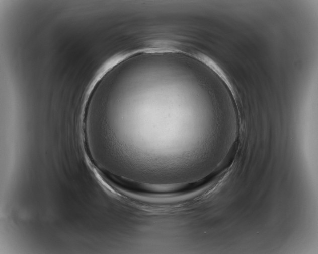 X0000085301485200703091421