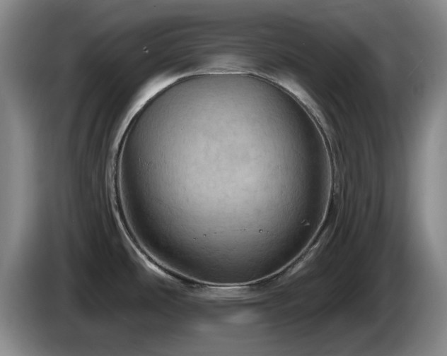 X0000085301486200703091421