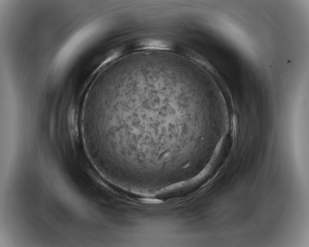 X0000085301487200703091420