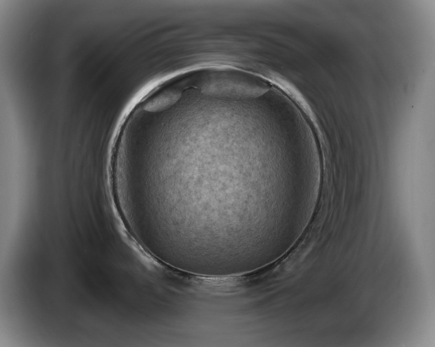 X0000085301488200703091420