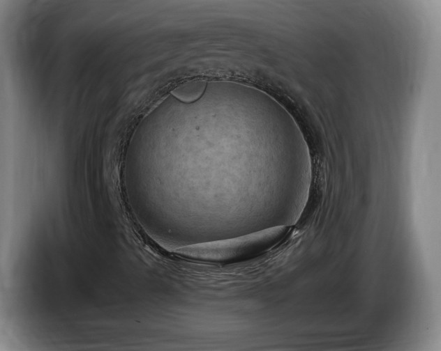 X0000085301489200703091420