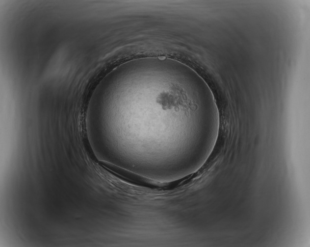 X0000085301490200703091420