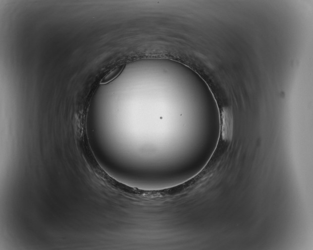 X0000085301491200703091420