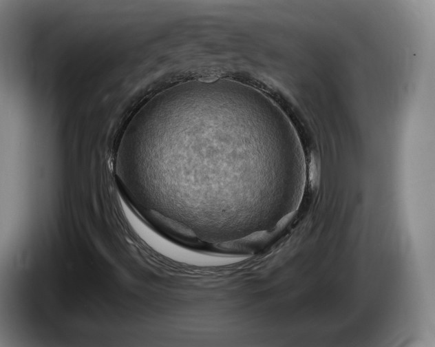 X0000085301492200703091420