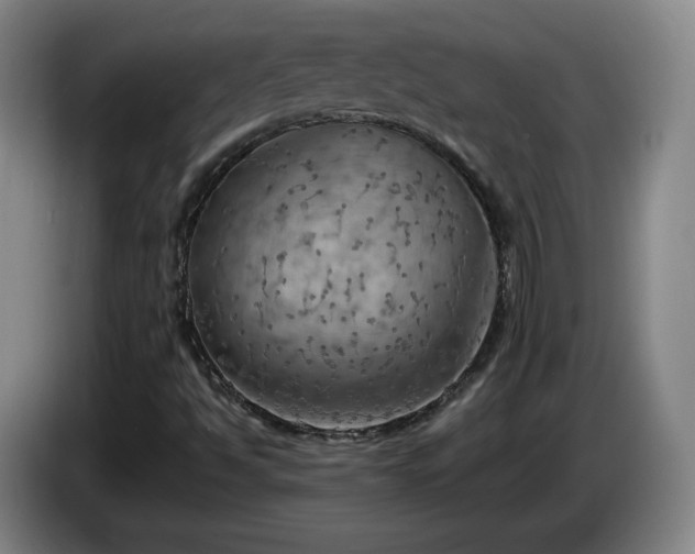 X0000085301494200703091420