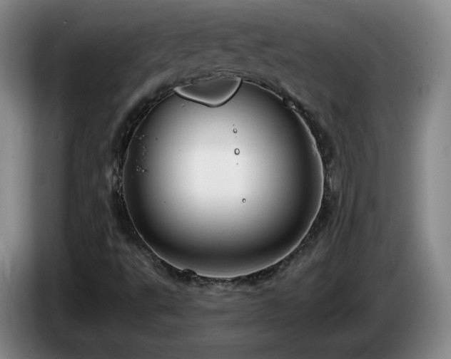 X0000085301495200703091420